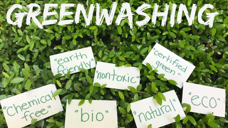 Greenwashing Begriffe auf grünem Gras